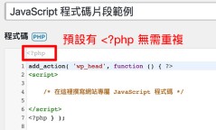 code 用法 範例大全 (實用程式碼片段一看就懂)